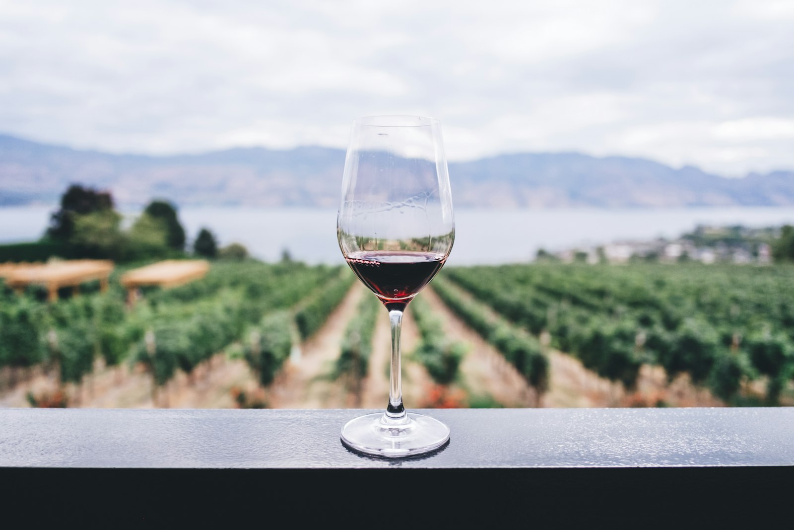 Cellar Door