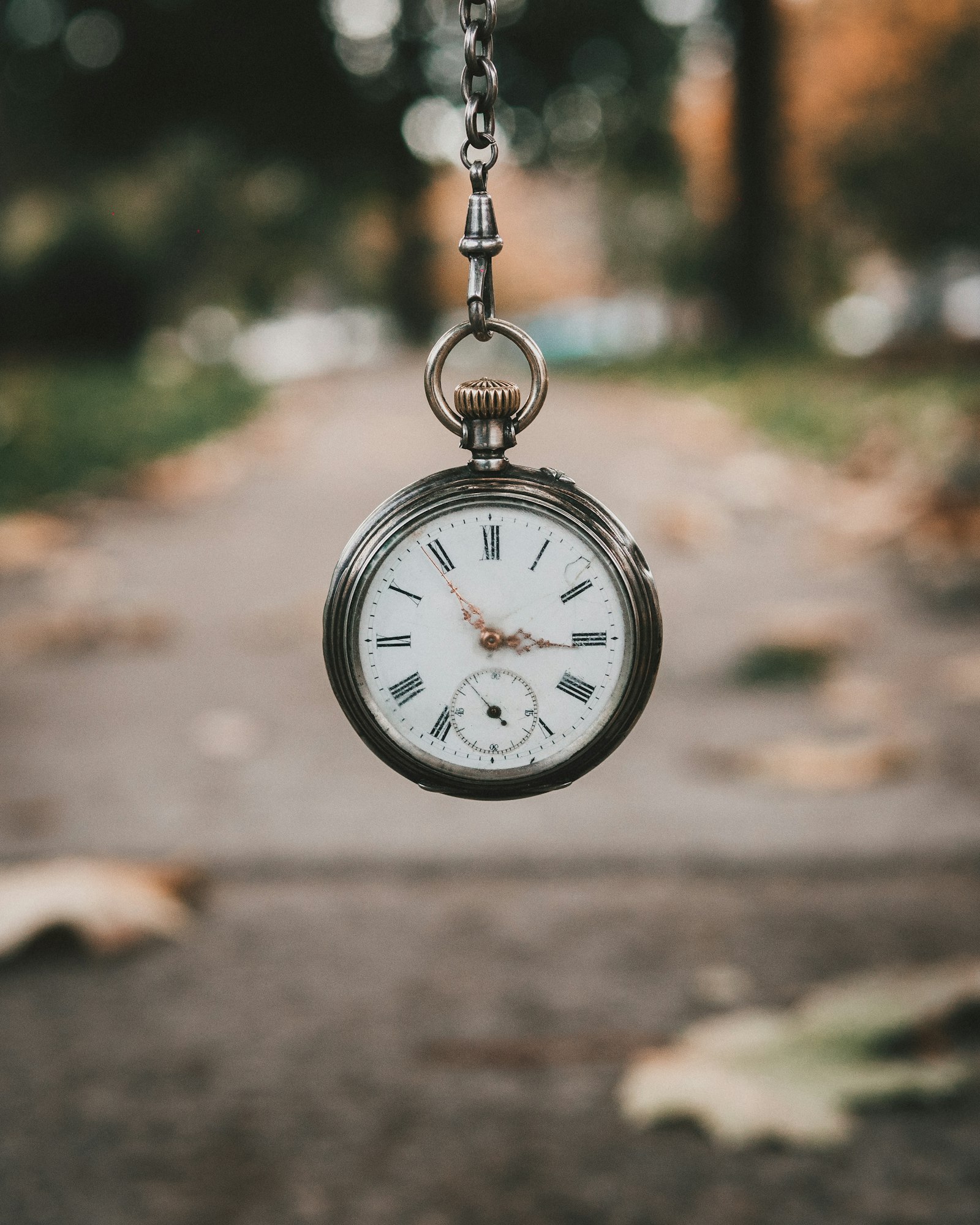 Mainspring Watch Co.