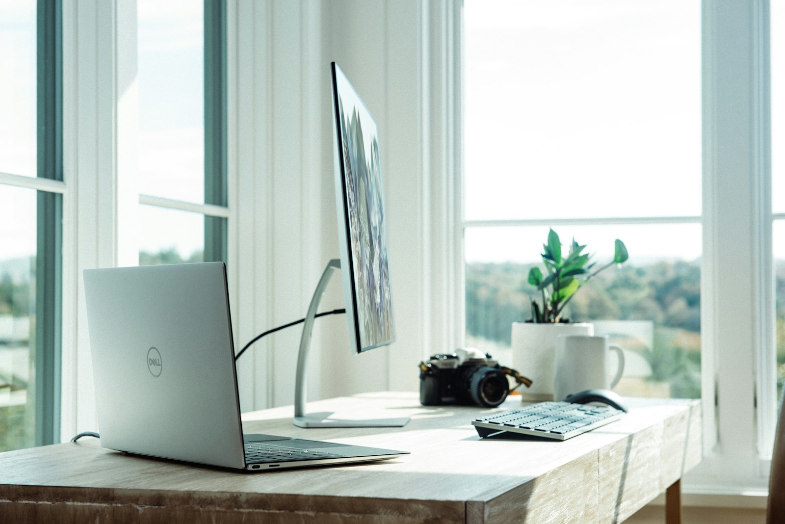 MacBook on the bench